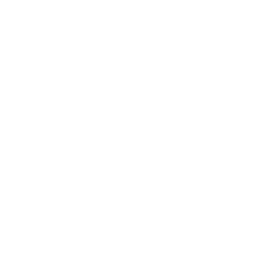 Ruchis Logo