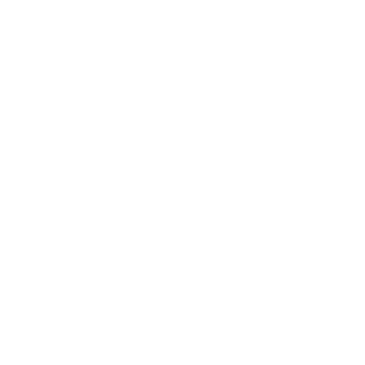 welron Logo